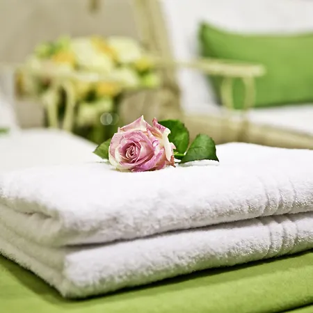 Hotel Freisinger Hof 4*